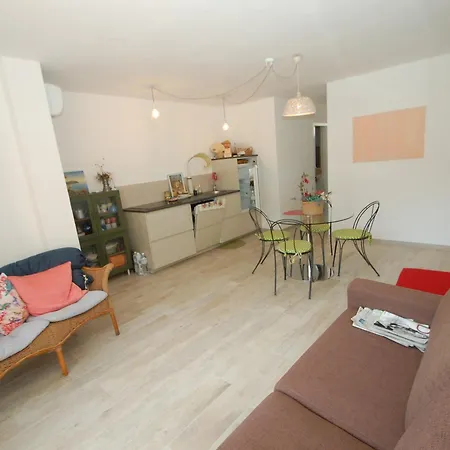 Beau 3p Renove Avec Terrasse, Parking Prive Et Climatisation - Fr-1-196-267 Apartment